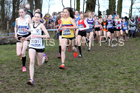 Girls under-15s 2019 British Athletics Inter Counties Cross Country, Prestwood Hall, Loughborough. Photo:  David T. Hewitson/Sports for All Pics